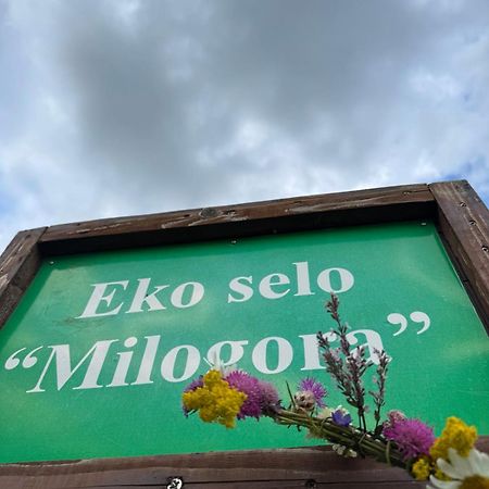 Etno Selo - Guest House Etno Village - Trsa Plužine Εξωτερικό φωτογραφία