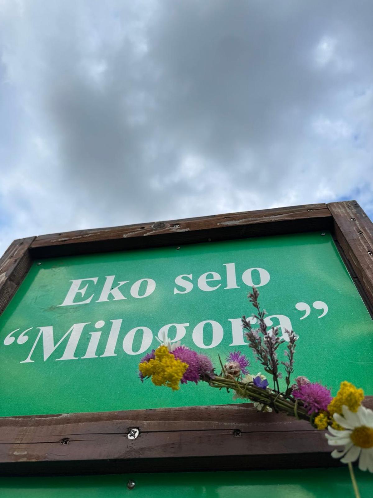 Etno Selo - Guest House Etno Village - Trsa Plužine Εξωτερικό φωτογραφία